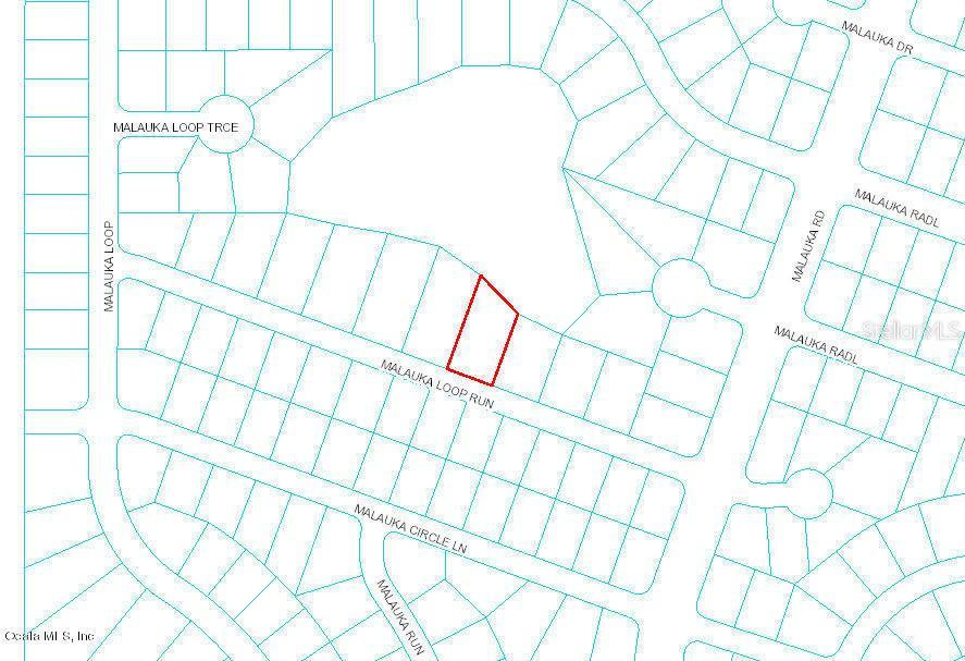 Malauka Rn Loop, Ocklawaha, FL 32179