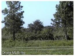 74 Fisher Way Trail, Ocala, FL 34480