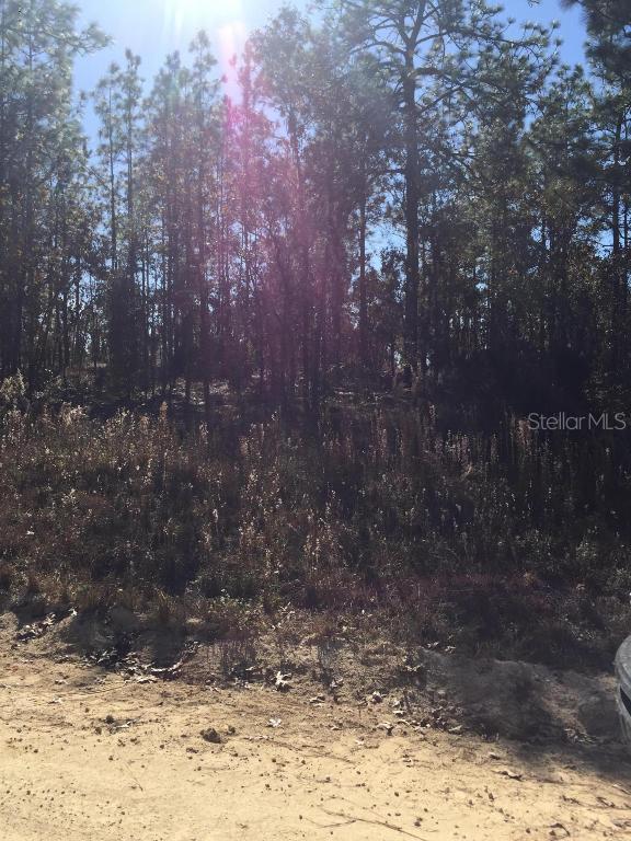 15671 NE 5th St., Williston, FL 32696