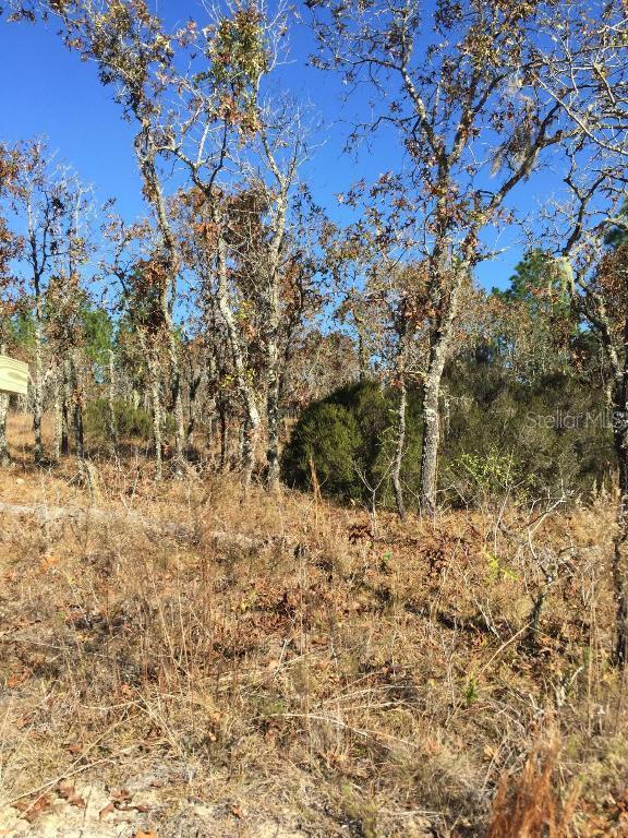 15671 NE 5th St., Williston, FL 32696