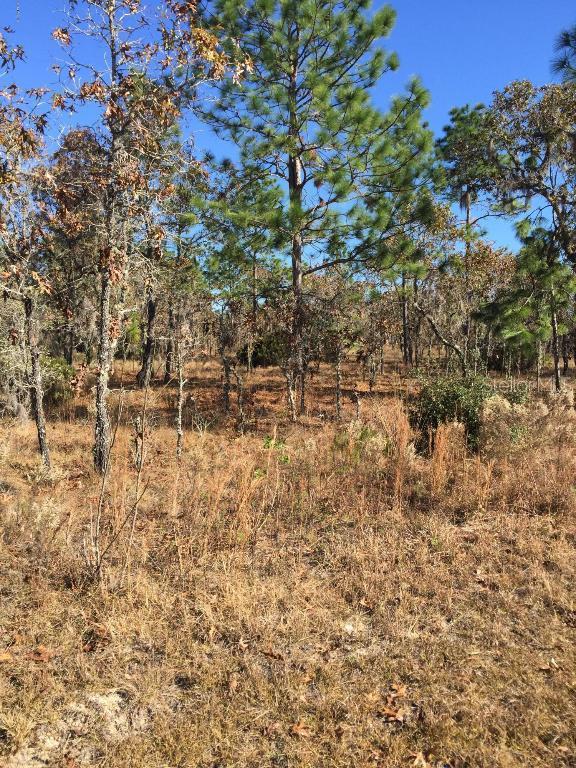 NE 4th St., Williston, FL 32696