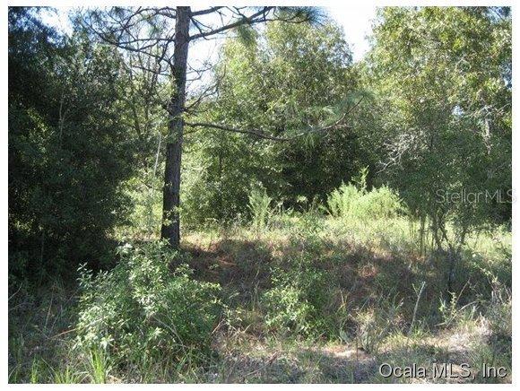 NW 56 Ct., Ocala, FL 34482