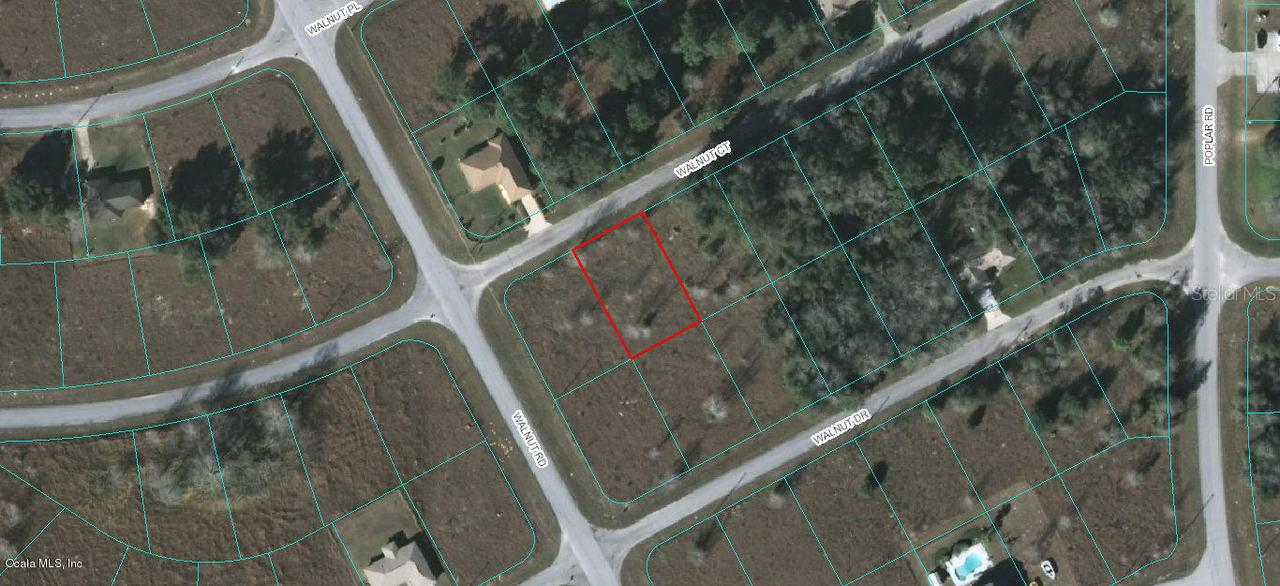 Walnut Ct, Ocala, FL 34480