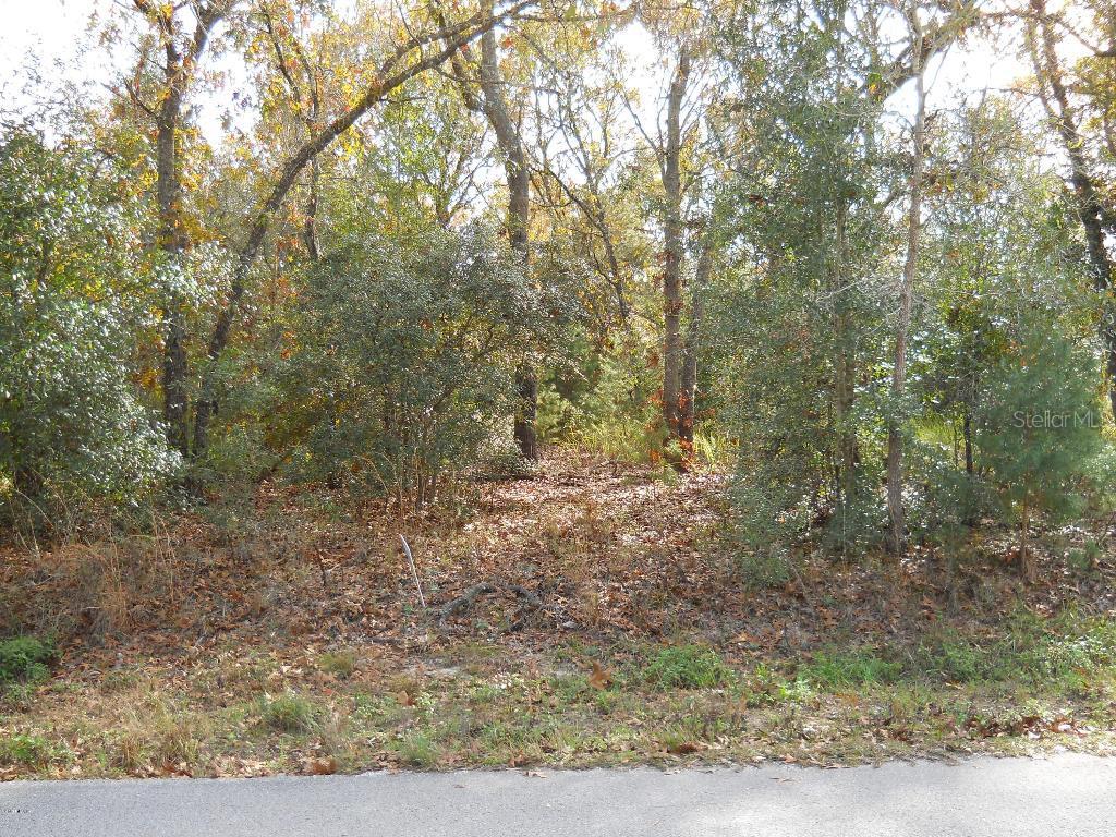 SE 162 Pl., Summerfield, FL 34491