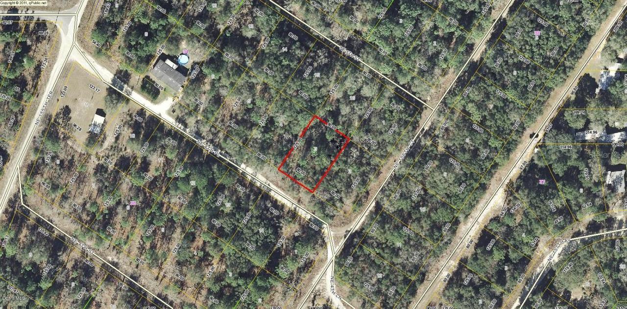 00 NE 4th Pl., Williston, FL 32696