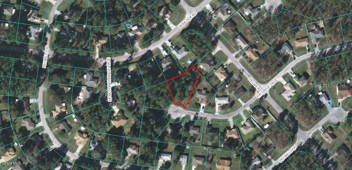 Fir Drive Trace, Ocala, FL 34472