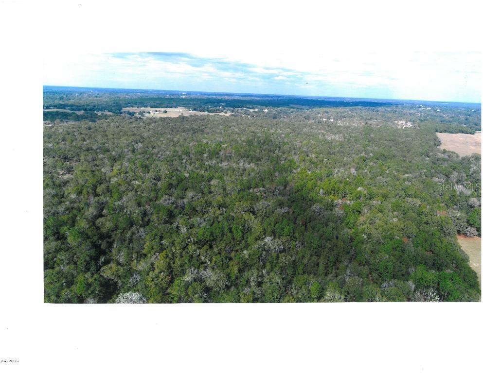 NW 80th Ave., Ocala, FL 34482