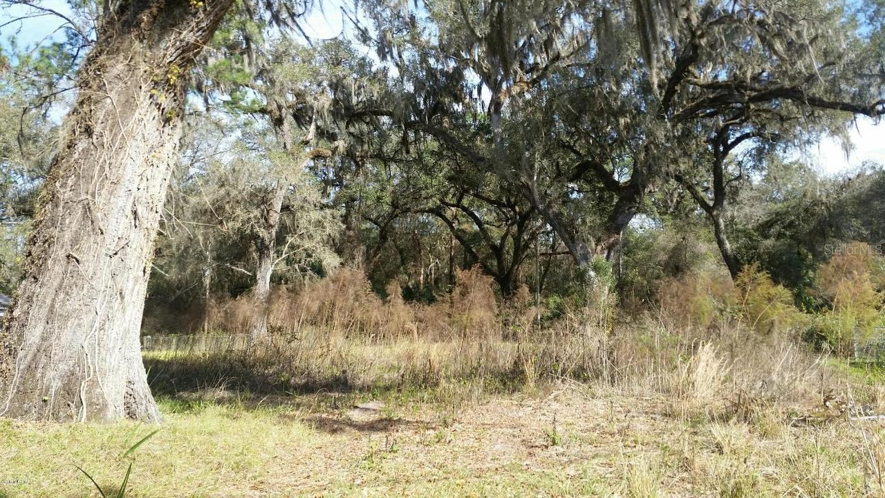 16581 NE 42nd Ave., Citra, FL 32113