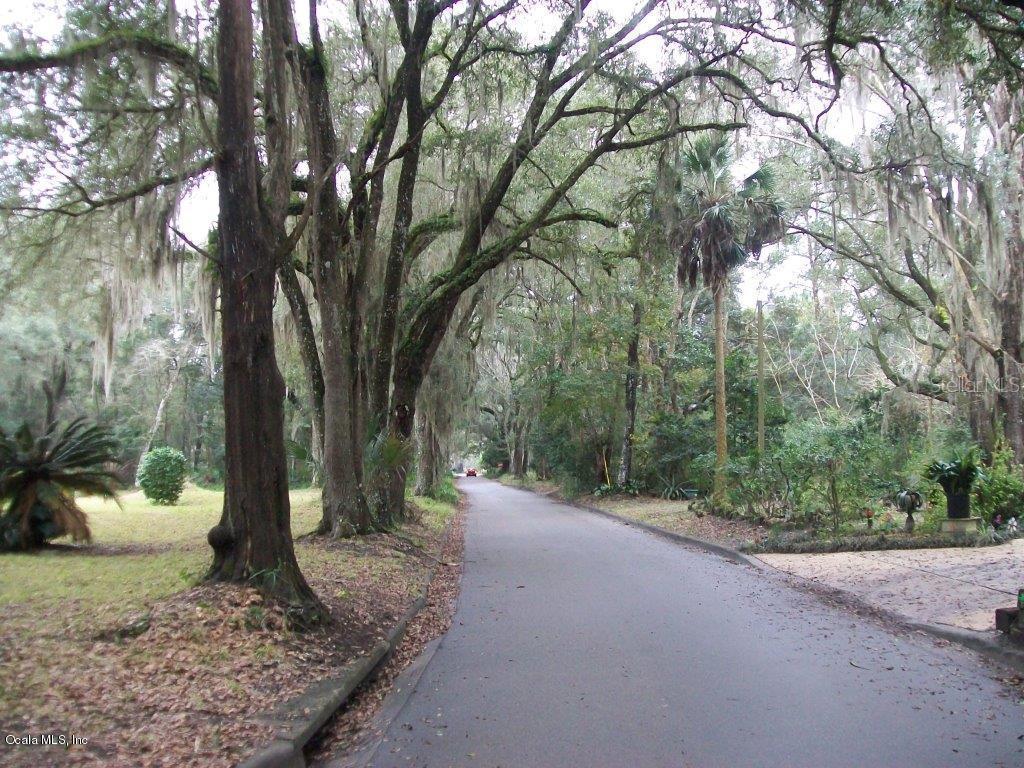 402 NW 6th Ave., Micanopy, FL 32667