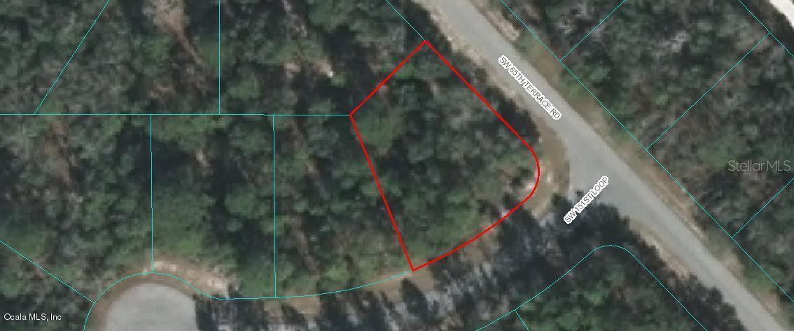 SW 65th Terrace Rd., Ocala, FL 34473