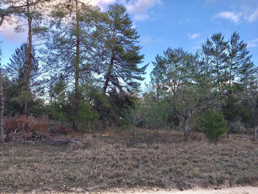 TBD NE 130th Ave., Williston, FL 32696