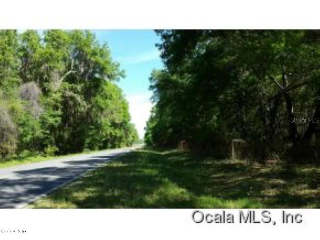 NE 200 Ave., Williston, FL 32696