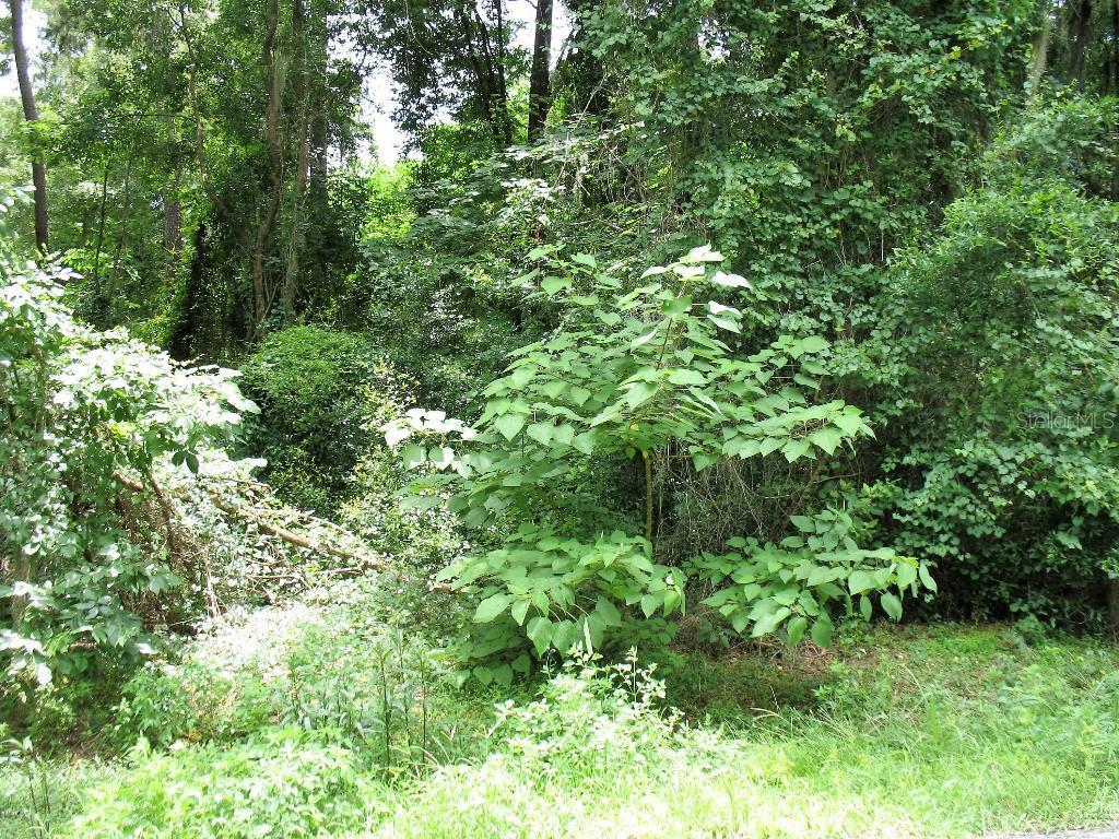 TBD SE 149th St., Summerfield, FL 34491