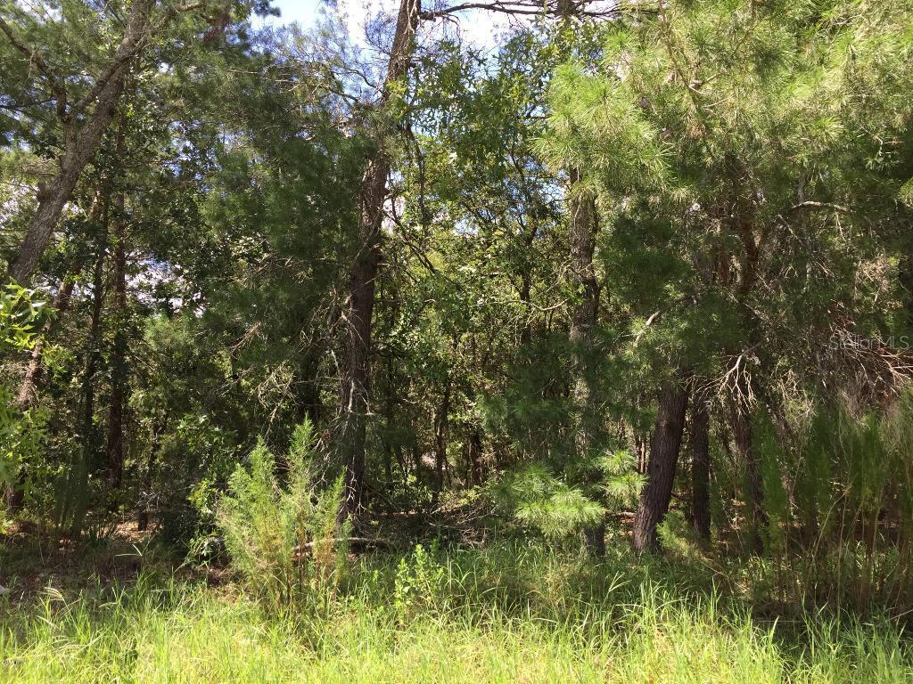 5281 SW 115th Loop, Ocala, FL 34476