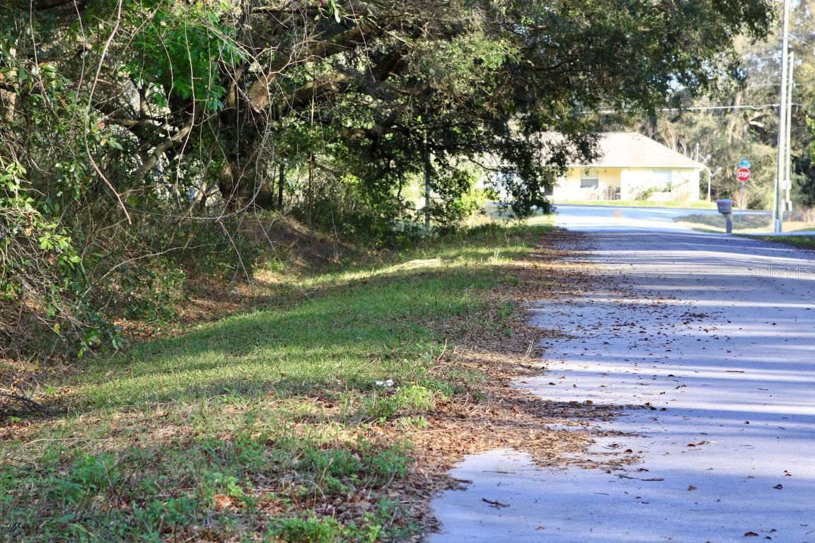 Locust Run Pass Pass, Ocala, FL 34472