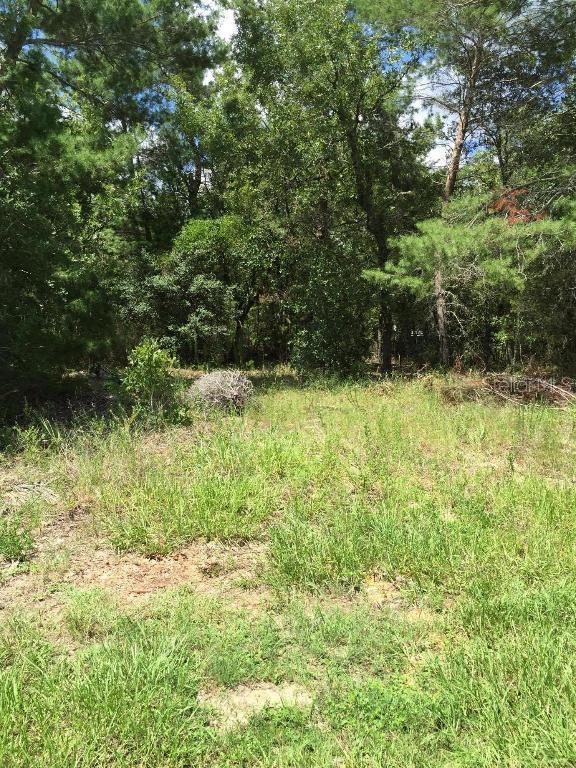 5291 SW 115th Loop, Ocala, FL 34476