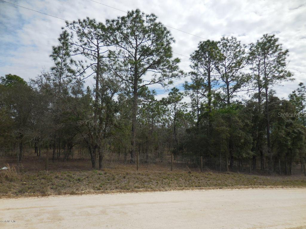 TBD SE 140th Ave., Williston, FL 32696