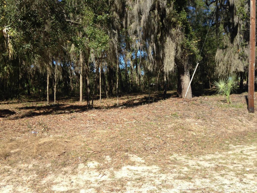 SE 107 Ave., Summerfield, FL 34491