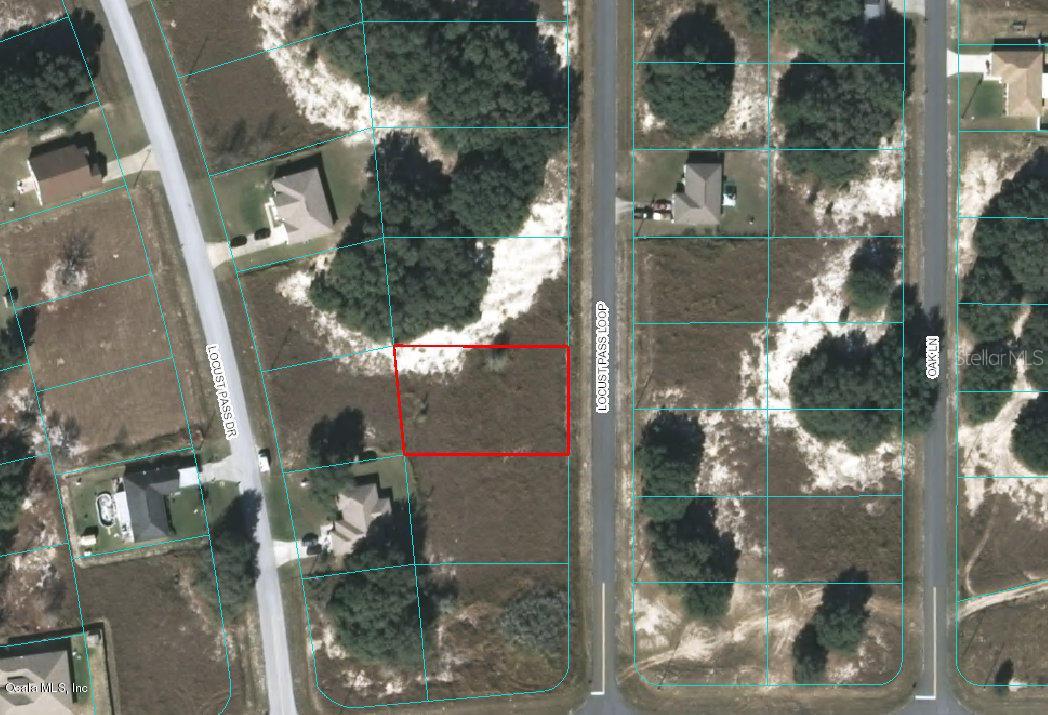 Locust Pass Loop, Ocala, FL 34472