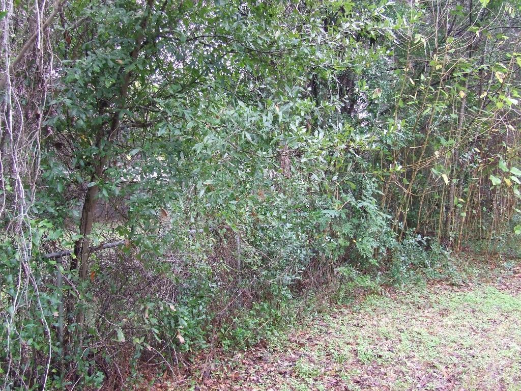 SW 51 Ln., Dunnellon, FL 34432