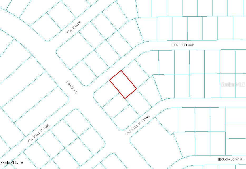 Sequoia Loop, Ocklawaha, FL 32179