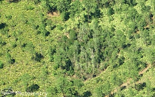 00 Dill Rd., Orlando, FL 32820