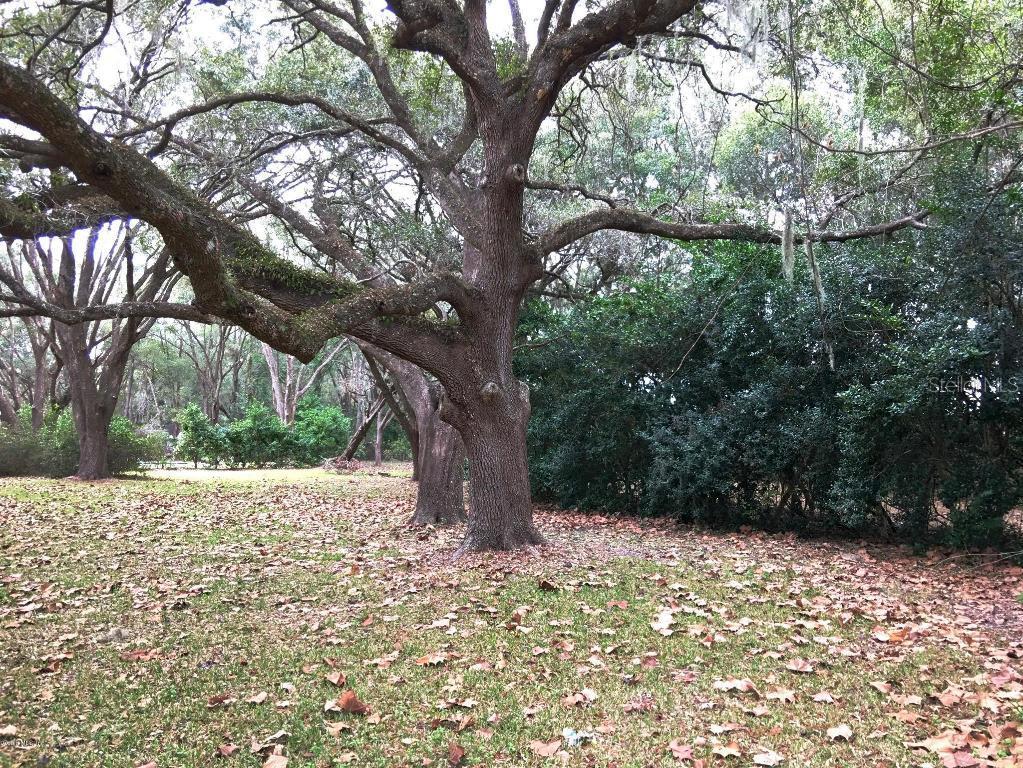 TBD SW 7th Ave., Williston, FL 32696