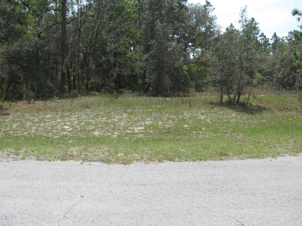 TBA SW 143 Street, Ocala, FL 34473