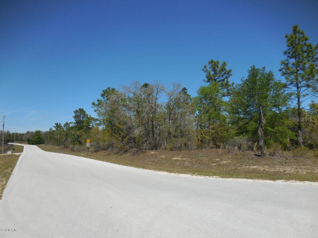 TBD NE 49th St., Williston, FL 32696