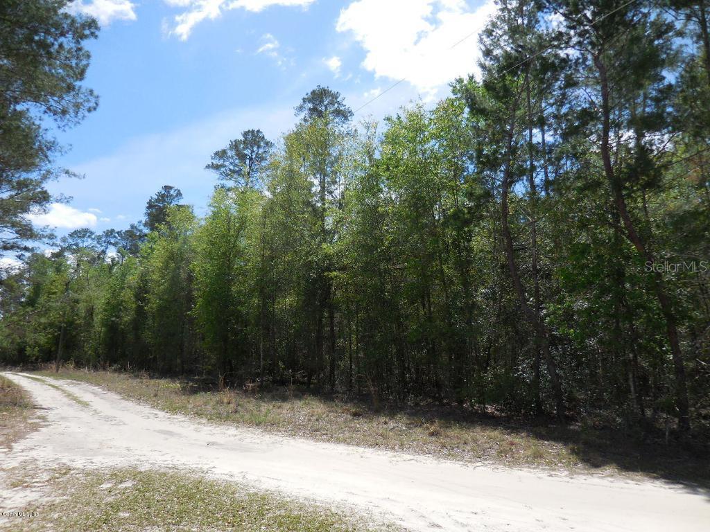 TBD NE 135th Ter., Williston, FL 32696