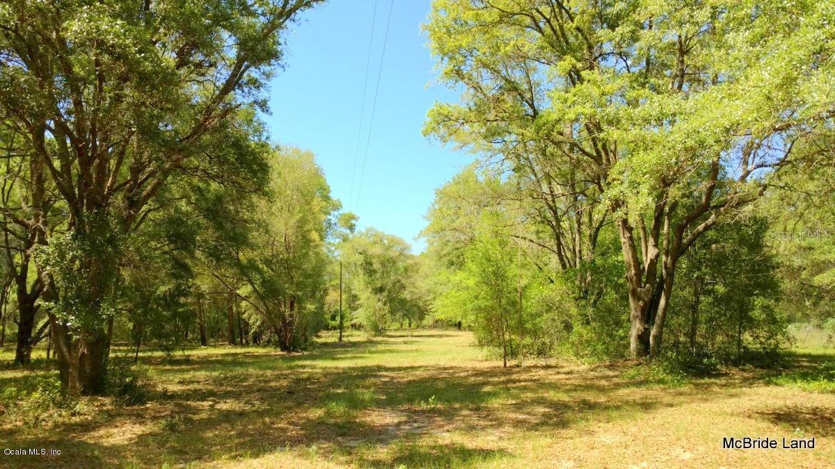 20.22ac NE 165 Street, Citra, FL 32113