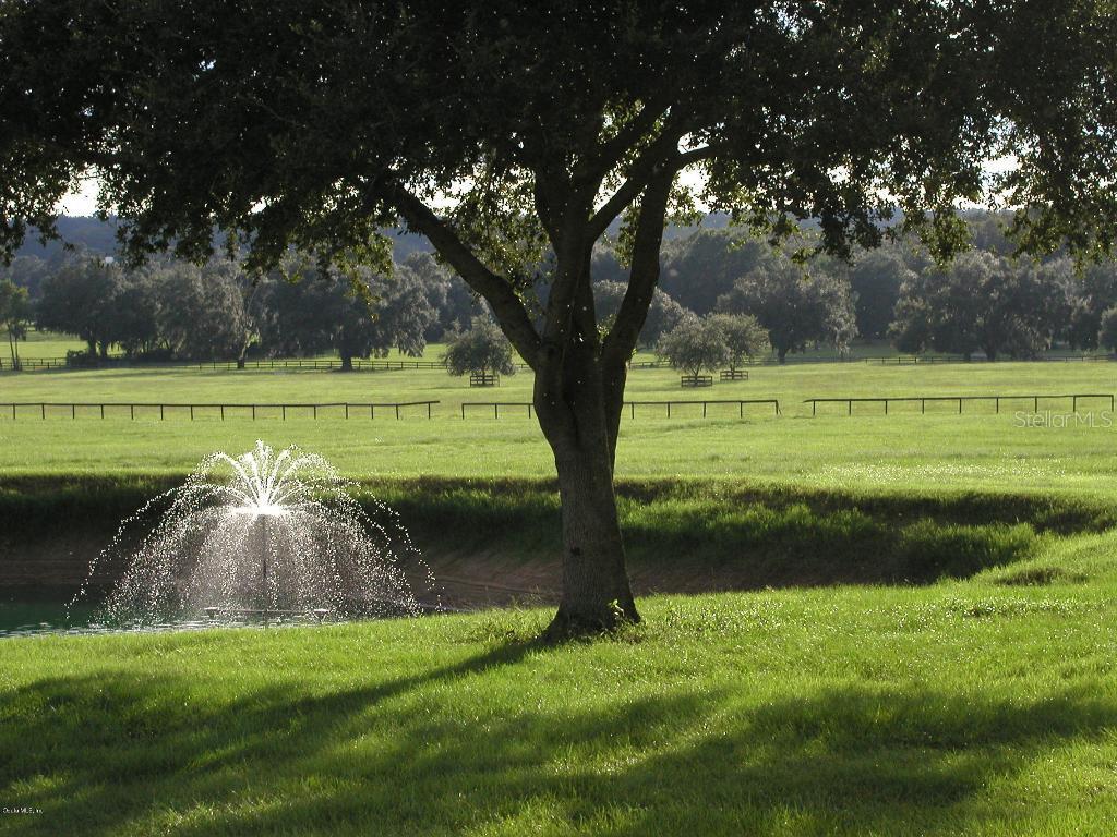 9660 NW 80th Ave., Ocala, FL 34482