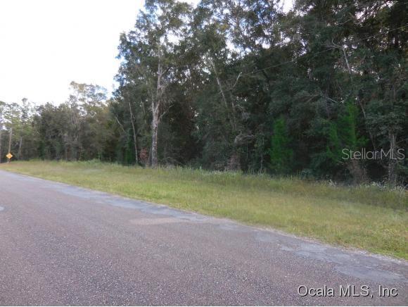 NE 55th St., Williston, FL 32696