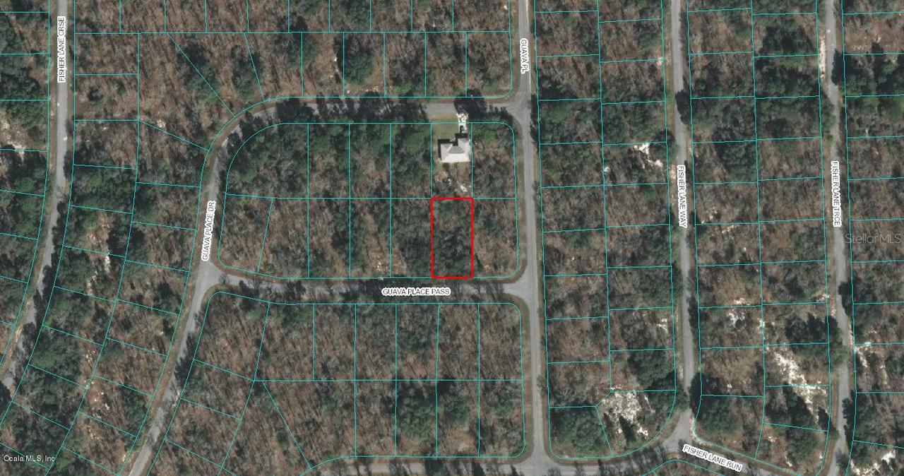 00 Guava Pl Pass, Ocklawaha, FL 32179