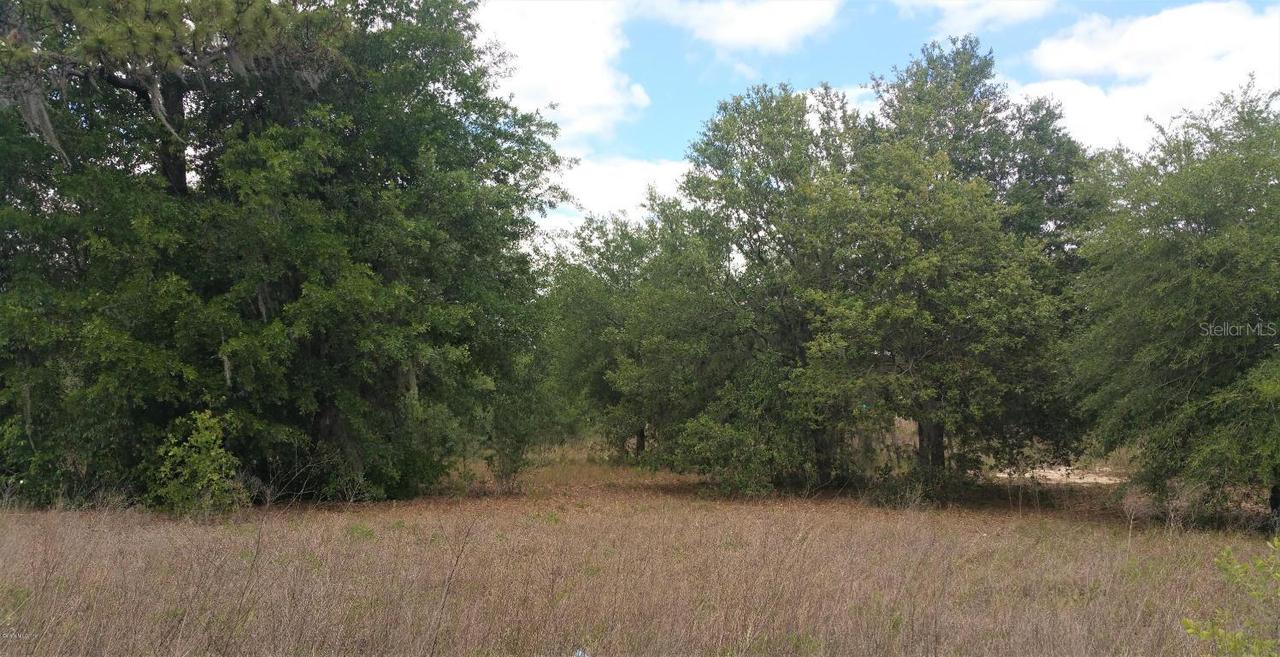 000 W Hwy 40, Ocala, FL 34481