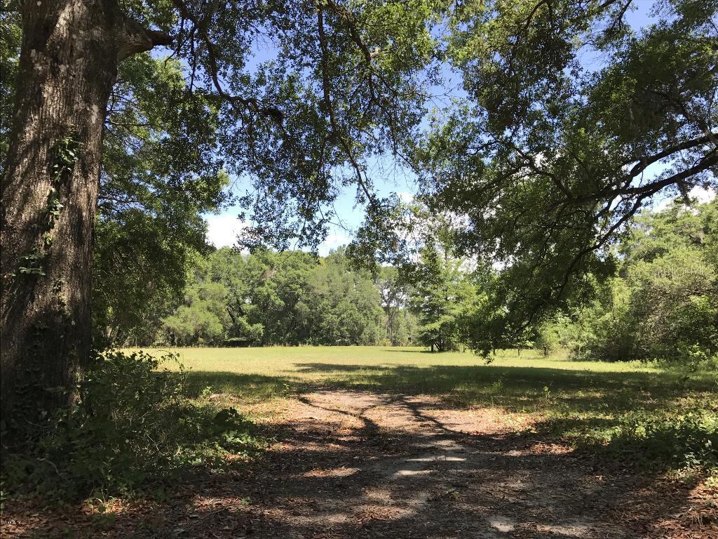 4626 SW 87 Ct., Ocala, FL 34481