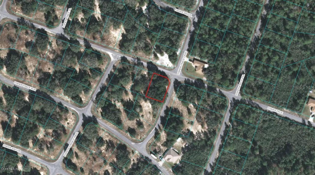 00 Fisher Trce, Ocklawaha, FL 32179