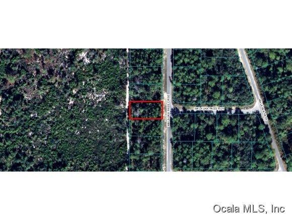 Malauka Crse Pass, Ocklawaha, FL 32179