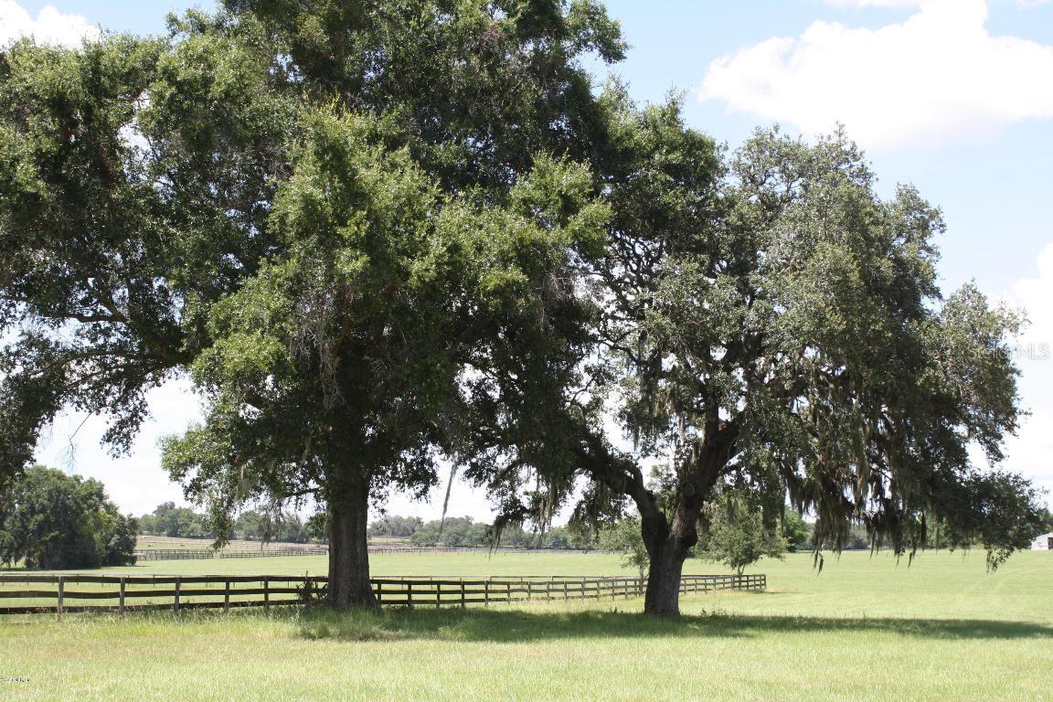 NW 225a, Ocala, FL 34482