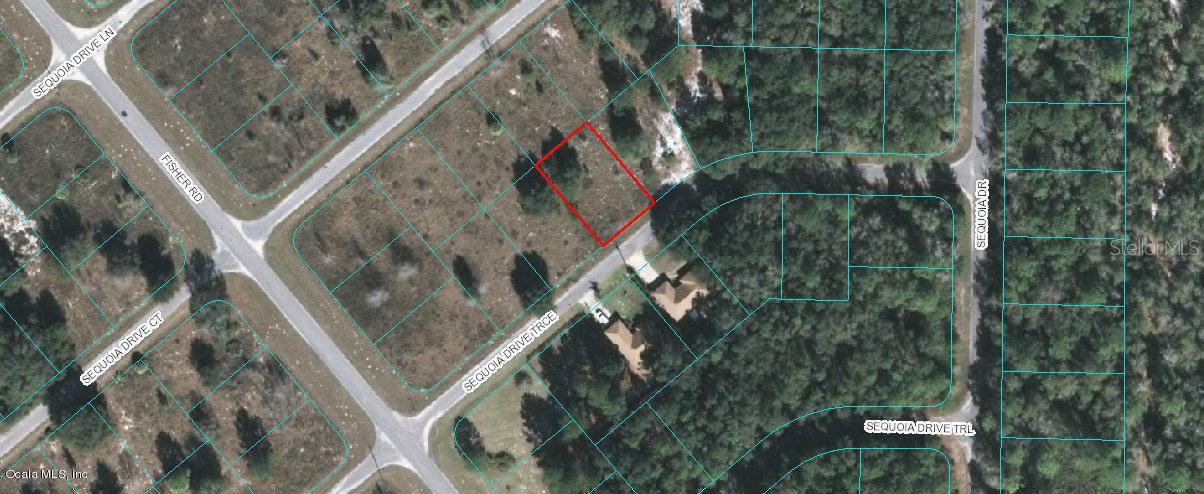 Sequoia Drive Trace, Ocklawaha, FL 32179