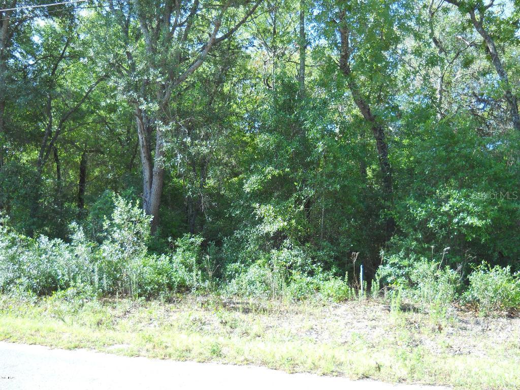 SE 155th Pl., Summerfield, FL 34491