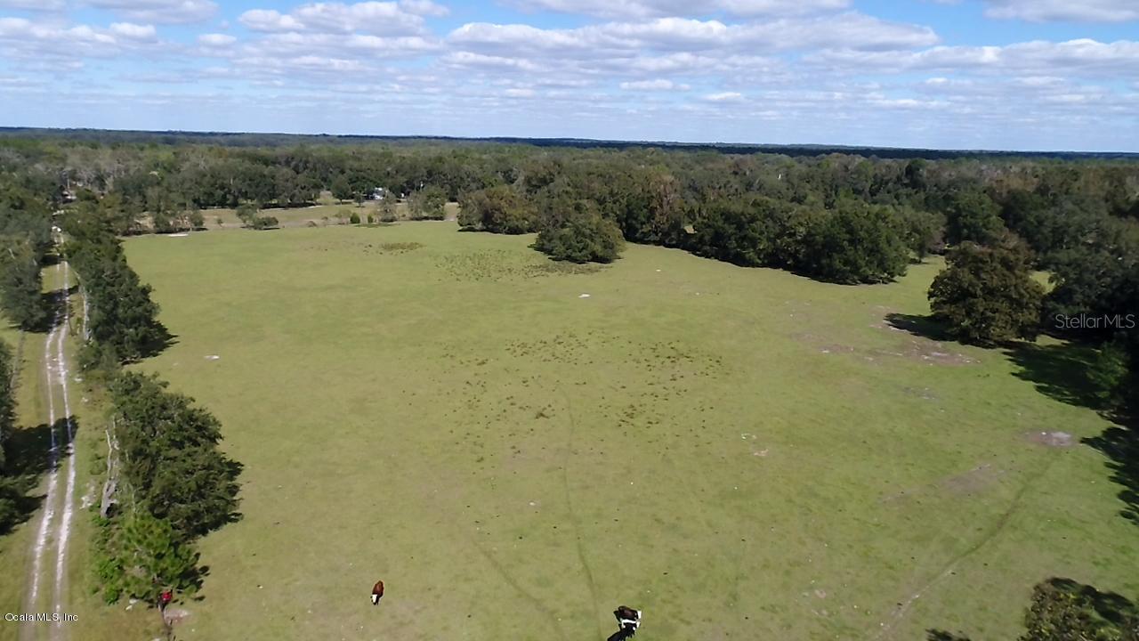 NW 167 Ct., Williston, FL 32696