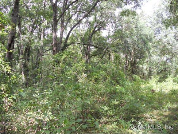 16250 NE 10th St., Williston, FL 32696