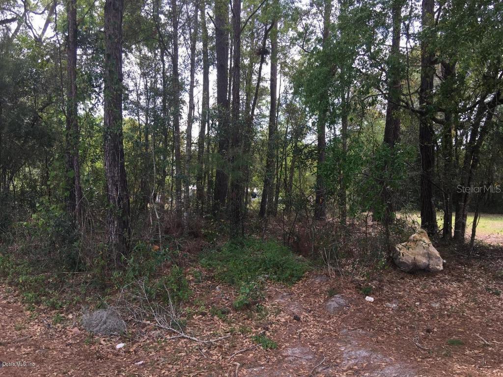 LOT 6 SW Lot 6 3 St., Williston, FL 32696