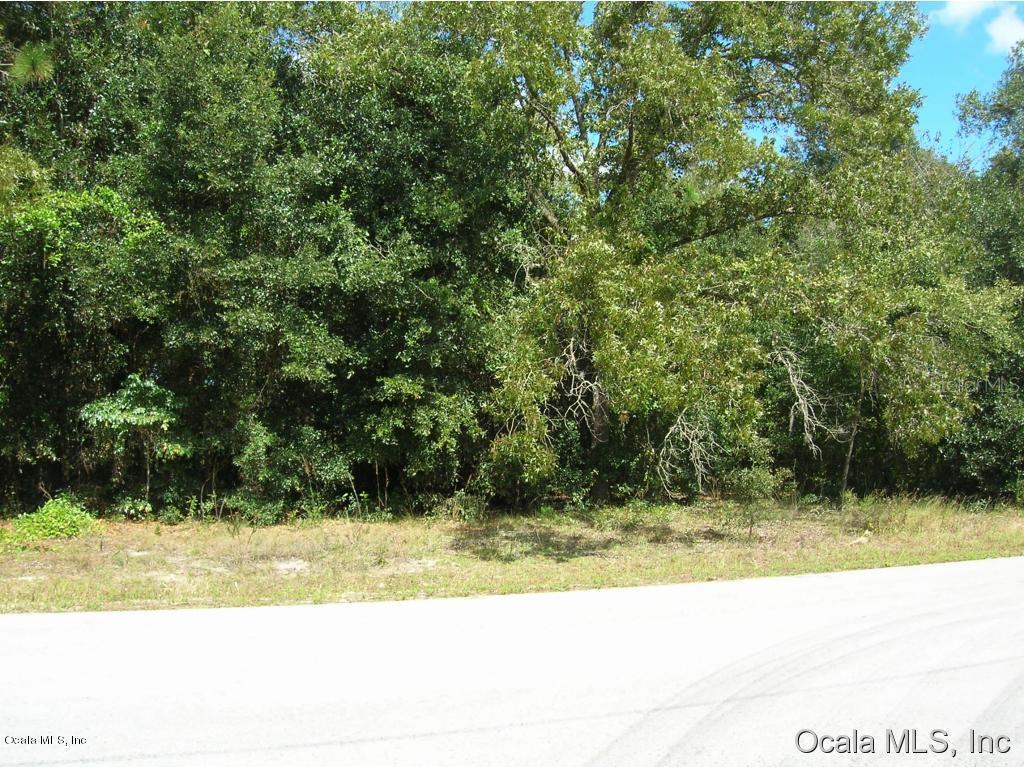 SE 157th Ln., Summerfield, FL 34491