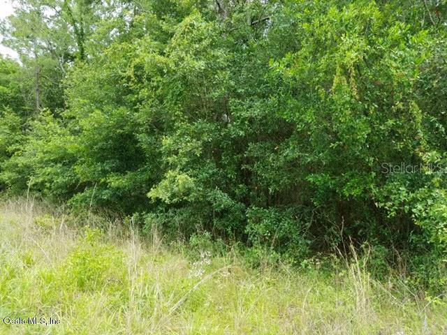 Lot 10 NE 40th St., Williston, FL 32696