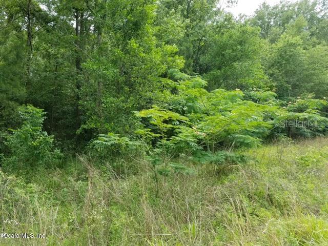 Lot 9 NE 40th St., Williston, FL 32696