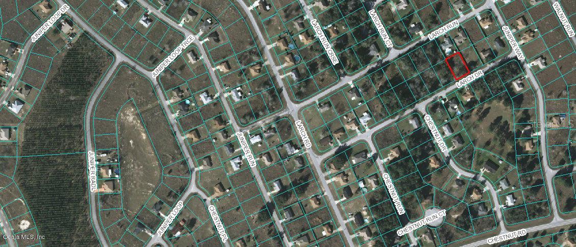 Larch Dr., Ocala, FL 34480