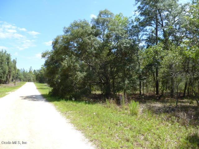 TBD SE 142nd Ter., Williston, FL 32696