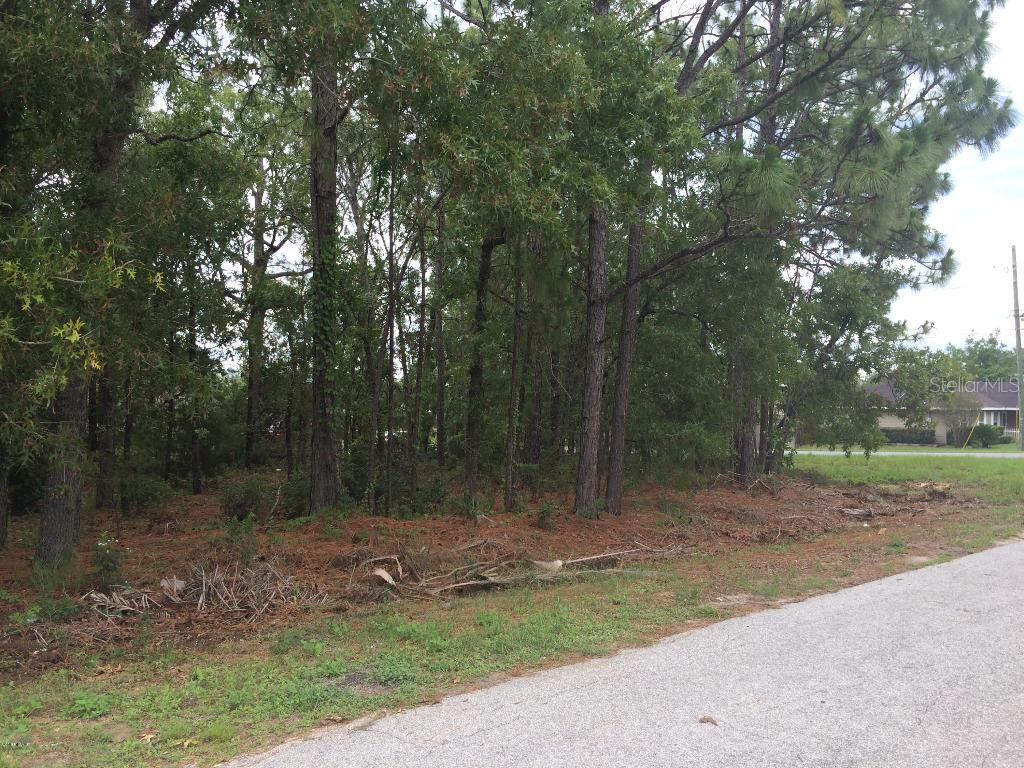 Pecan Rd., Ocala, FL 34472